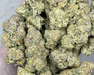 CHUNKY WIZARD FRITTER LSO - Image 1
